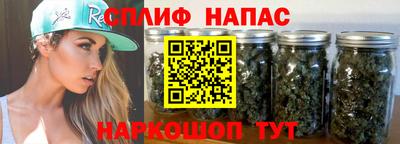 ГАЛЛЮЦИНОГЕННЫЕ ГРИБЫ Новозыбков