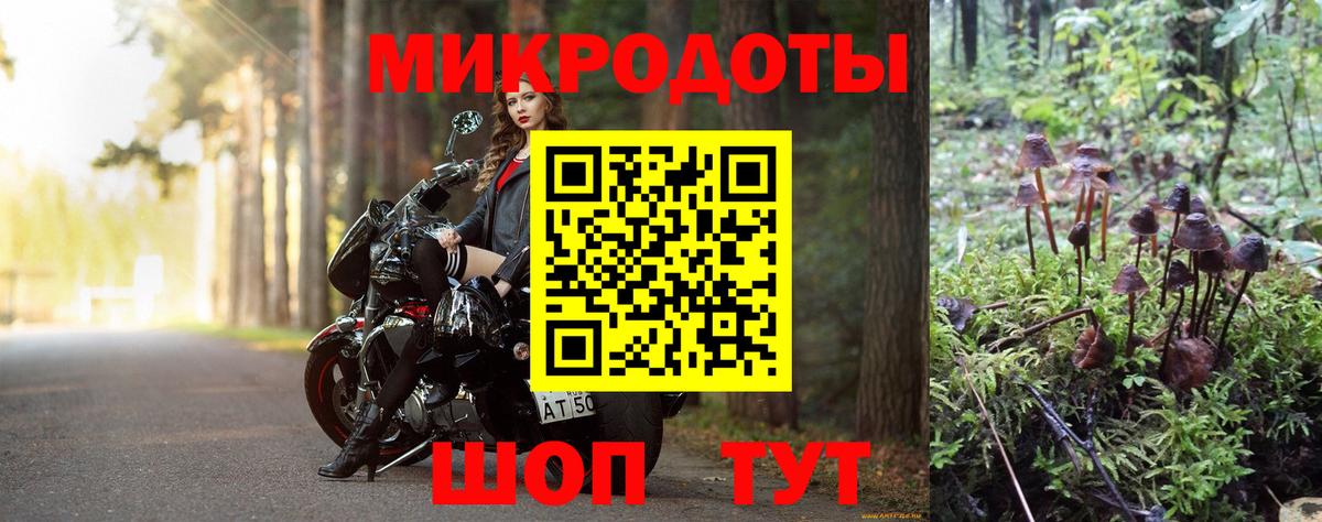 Ступино  Псилоцибиновые грибы GOLDEN TEACHER  Вход с VPN 
